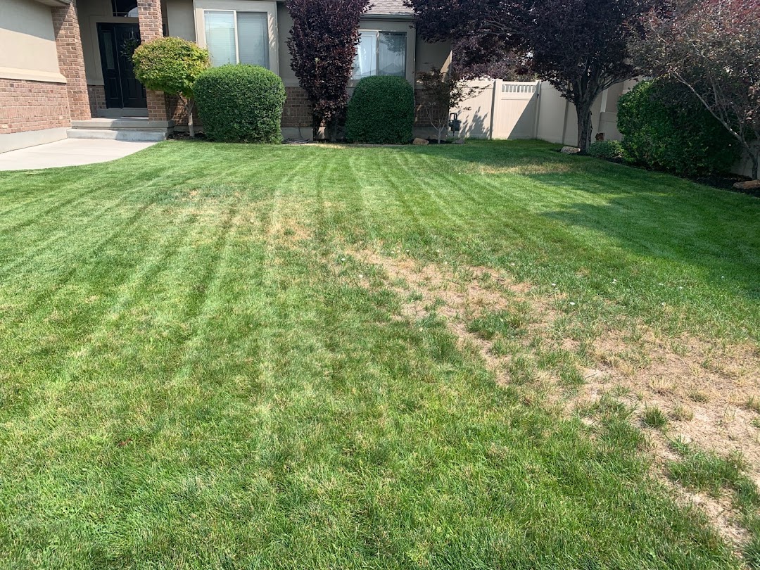 TruGreen Lawn Care