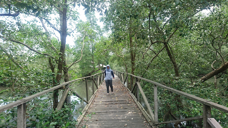 Mangrove Margo Mulyo