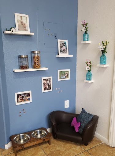 Thrift Store «Dog Junkies Thrift Store», reviews and photos, 4611 N Rancho Dr, Las Vegas, NV 89130, USA