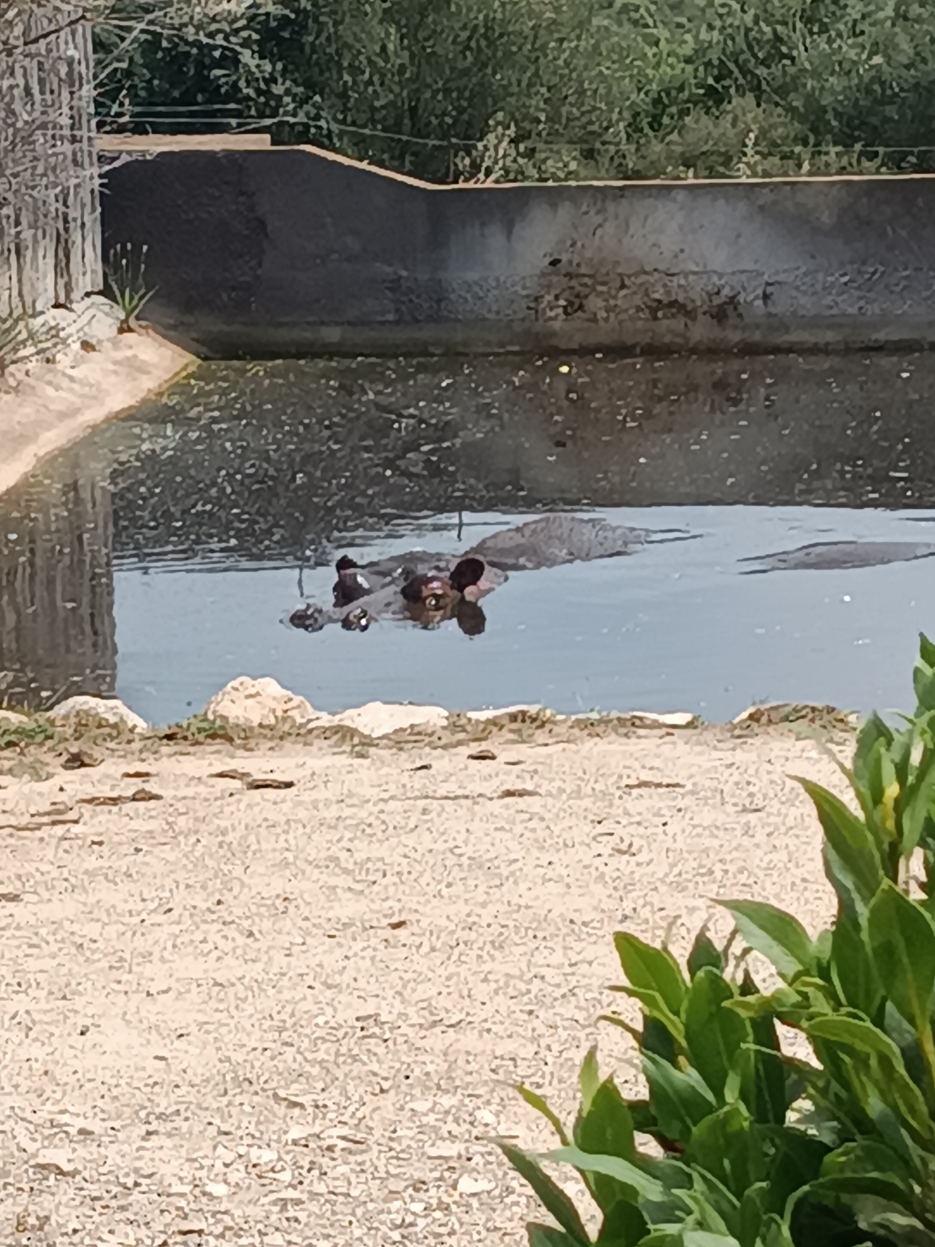 Photo n° 6 de l'avis de Sabi.a fait le 27/07/2023 à 19:17