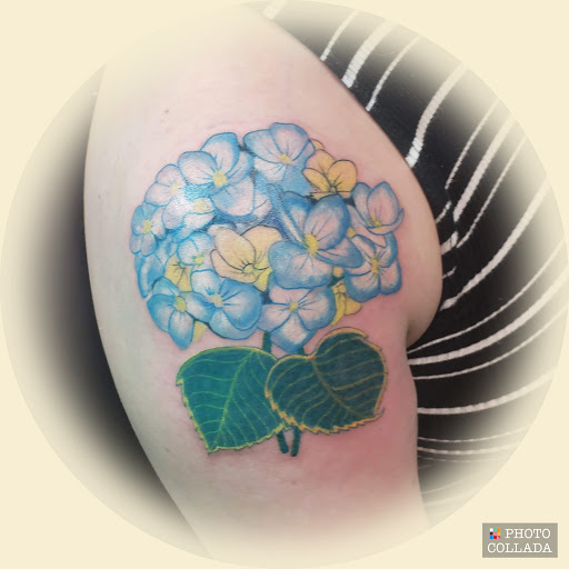 Explore bridgerton tattoo ideas, creative tattoo ideas in Laurel, available at Ambitious Creations Tattoo and Piercing Studio