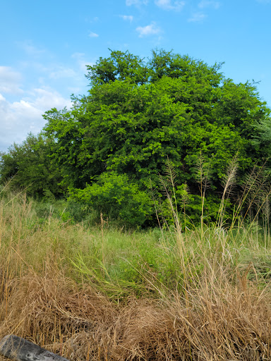 Nature Preserve «McAllen Nature Center», reviews and photos, 4101 U.S. 83 Business, McAllen, TX 78501, USA