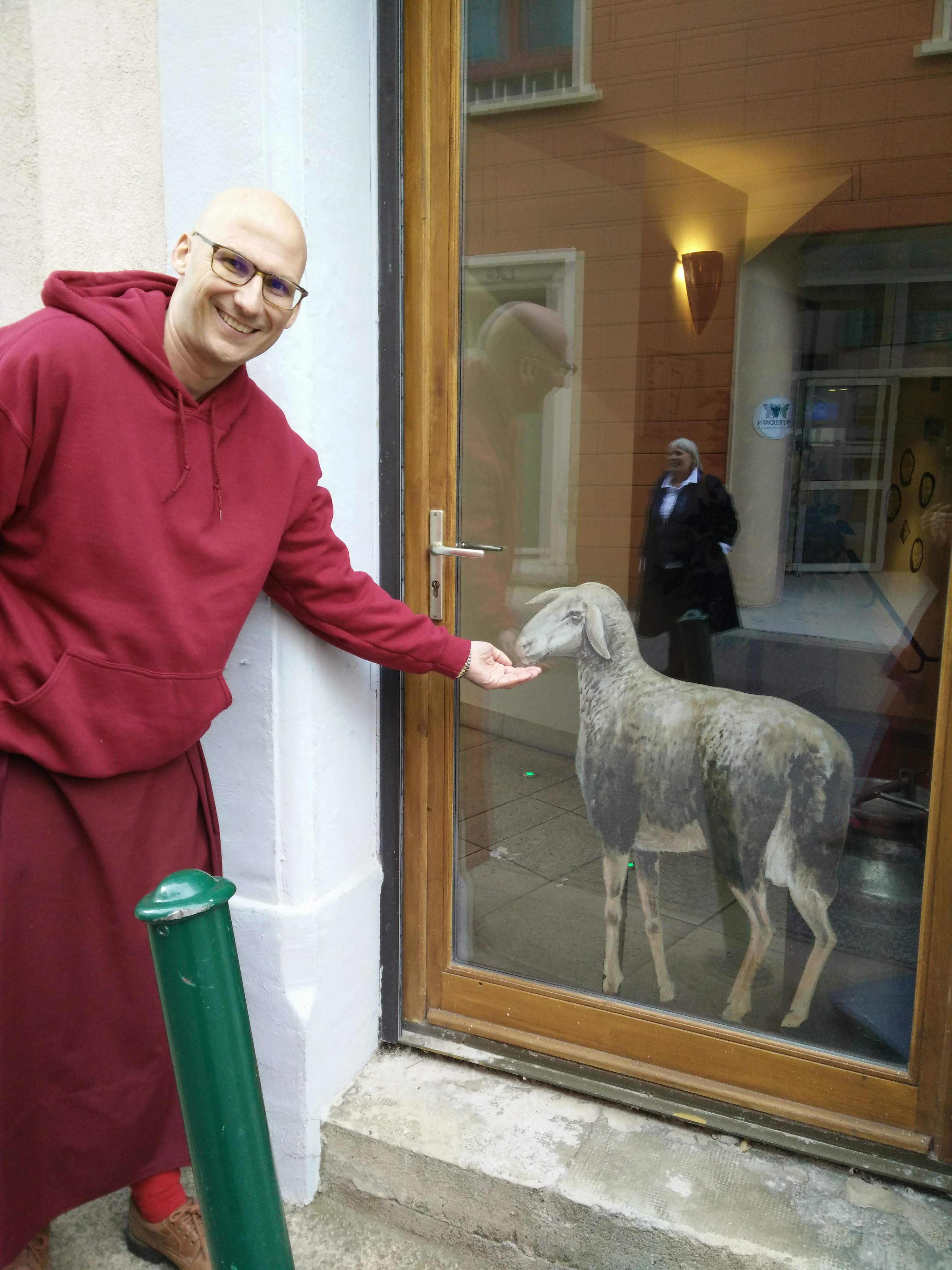 Photo n° 2 de l'avis de Tenzin.i fait le 13/10/2018 à 17:03