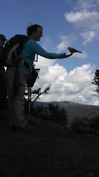 Tracy's Tax Service LLC - Car repair in Manchester, NH, Manchester - Rated 5.0/5