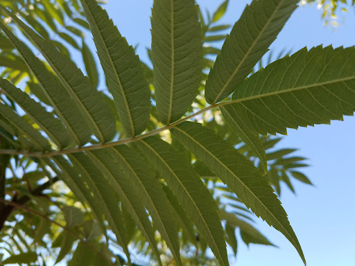 Water Park «Slidewaters ~ Lake Chelan Waterpark», reviews and photos, 102 Waterslide Dr, Chelan, WA 98816, USA