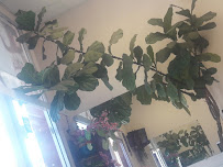 Coco and Co Beauty Salon - Photo 3 - Car repair in Los Angeles, CA, East Los Angeles