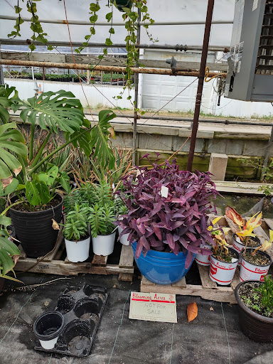 Plant Nursery «Blooming Acres», reviews and photos, 7561 State Rd, Wadsworth, OH 44281, USA