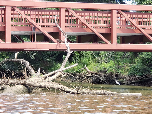 National Park «Kenilworth Park», reviews and photos, 1505 Ancostia Ave NE, Washington, DC 20019, USA