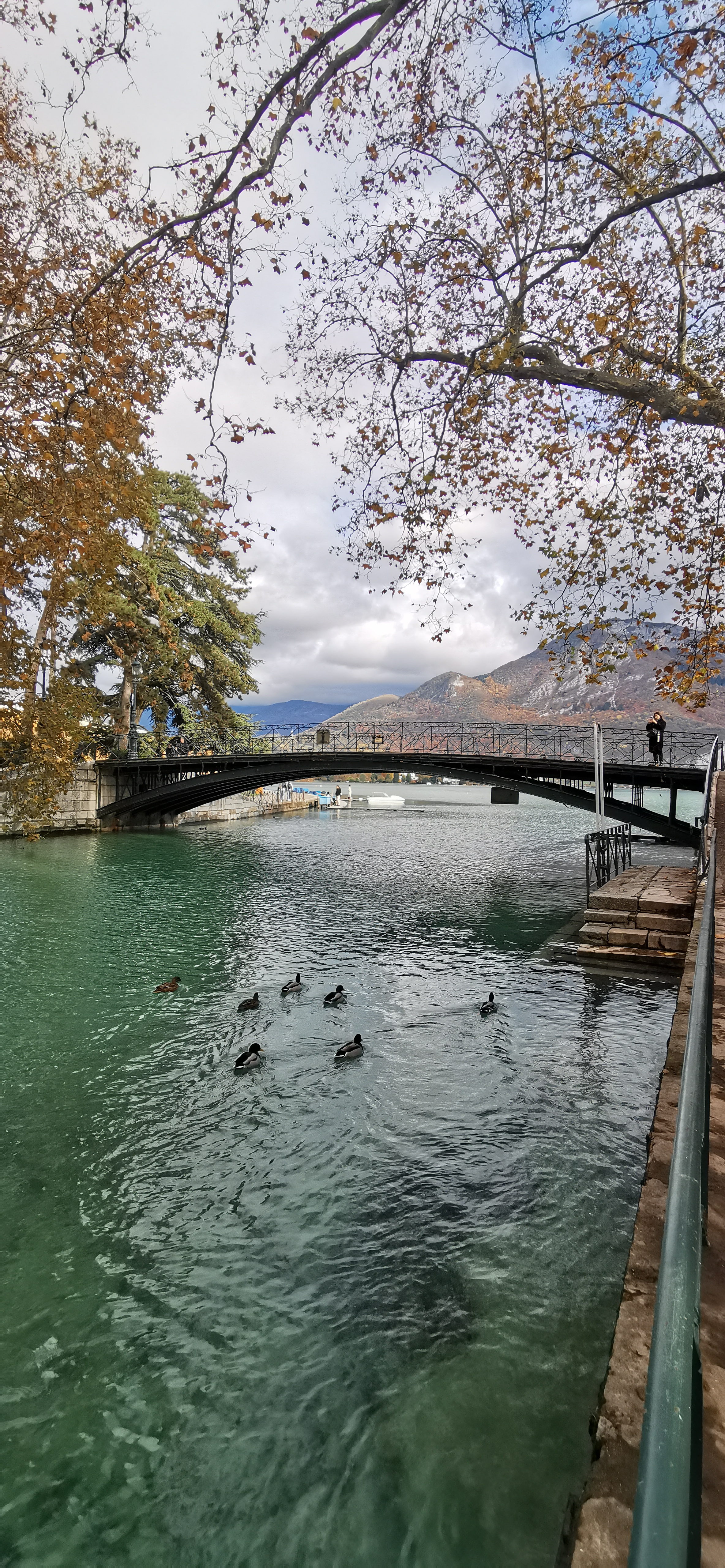 Photo n° 13 de l'avis de pascalsaintjames. fait le 20/11/2023 à 14:11