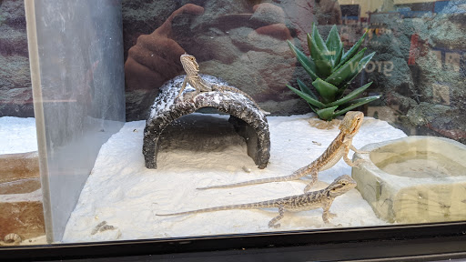 Pet Supply Store «Petco Animal Supplies», reviews and photos, 3300 Broadway St, Eureka, CA 95501, USA