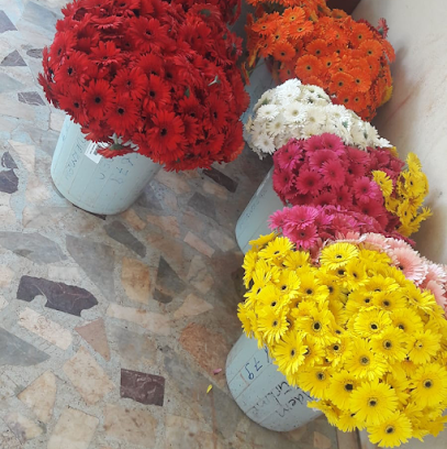 Diyarbakır Toptan Çiçek Mazeme