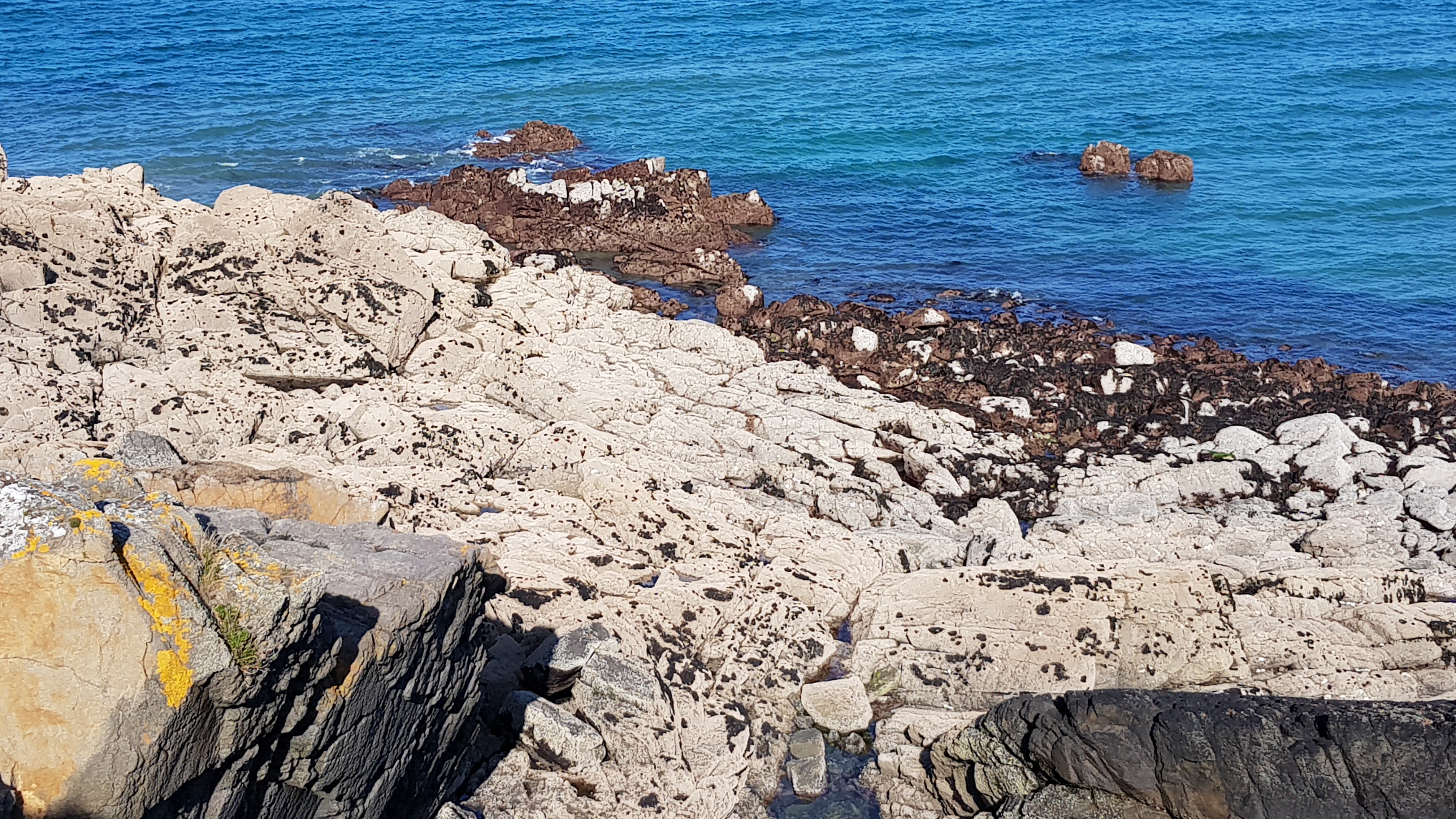 Photo n° 3 de l'avis de Nathalie.e fait le 24/03/2019 à 16:18