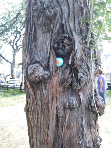 Fair «Colorado State Fair Rentals», reviews and photos, 1001 Beulah Ave, Pueblo, CO 81004, USA