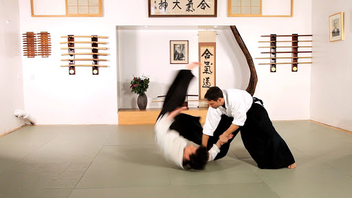 Traditional Karate and Aikido