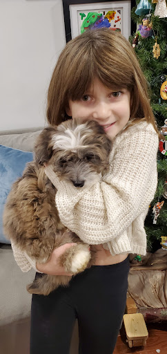 Pet Supply Store «PetSmart», reviews and photos, 1521 Golden Gate Plaza, Mayfield Heights, OH 44124, USA