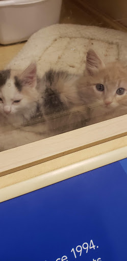 Pet Supply Store «PetSmart», reviews and photos, 2440 E Charleston Rd, Mountain View, CA 94043, USA