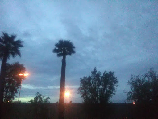 Community Center «Seventh Day Adventist COMM Center», reviews and photos, 1320 N 15th St, Phoenix, AZ 85006, USA