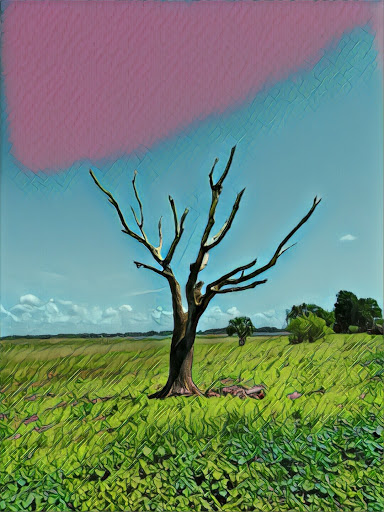 Golf Club «Oaks National Golf Club», reviews and photos, 1500 The Oaks Blvd, Kissimmee, FL 34746, USA