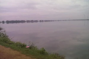 Veeranam Lake image