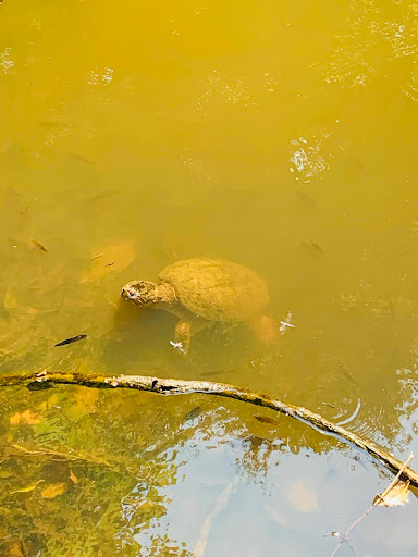 Nature Preserve «Flat Rock Brook Nature Center», reviews and photos, 443 Van Nostrand Ave, Englewood, NJ 07631, USA