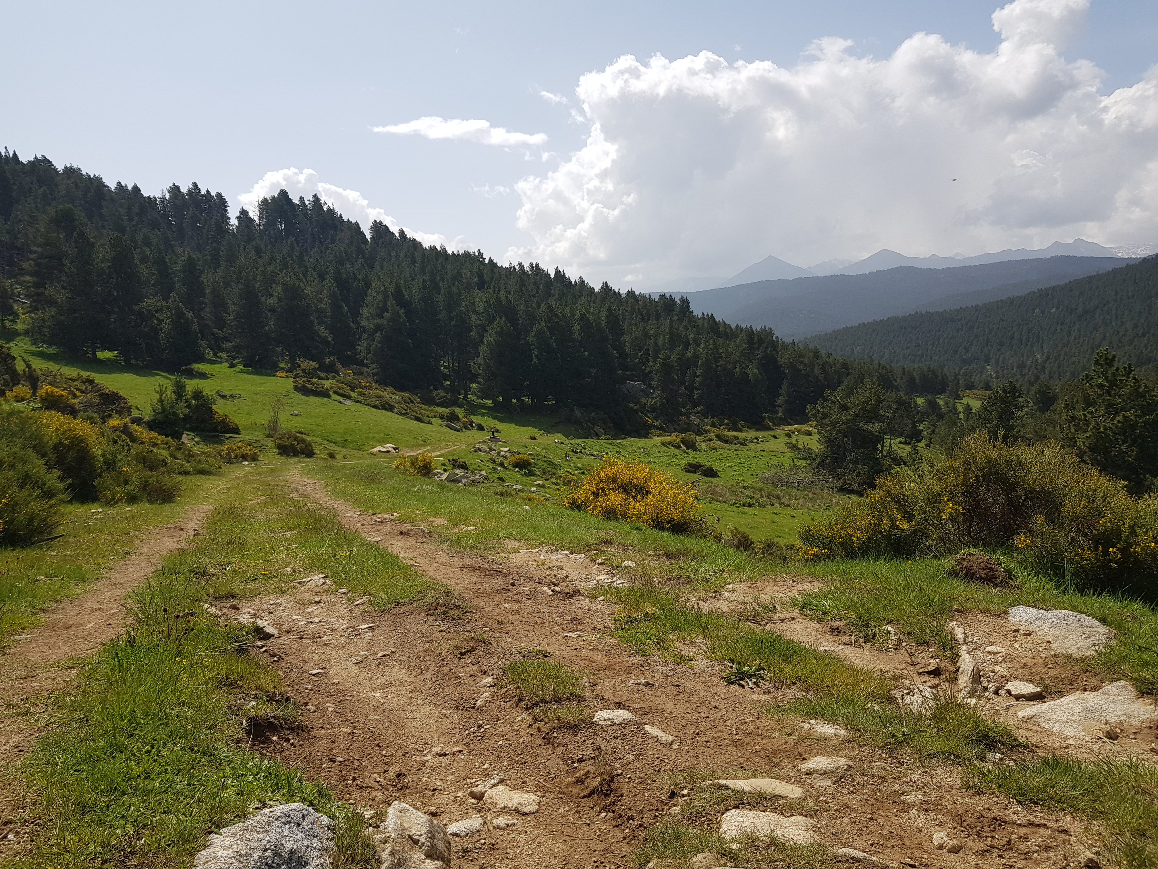 Photo n° 2 de l'avis de Gaëtan. fait le 30/05/2023 à 19:03