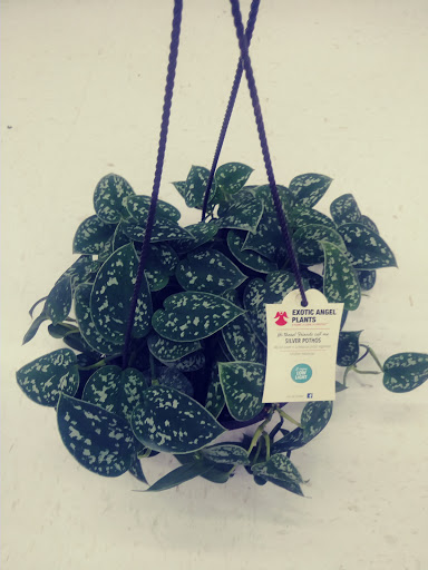 Shopping Mall «Eastport Plaza Shopping Center», reviews and photos, 4000 SE 82nd Ave, Portland, OR 97266, USA