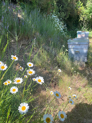 GAEC de Courbière à Assac