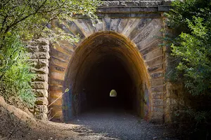 Mushroom Tunnel Picton image