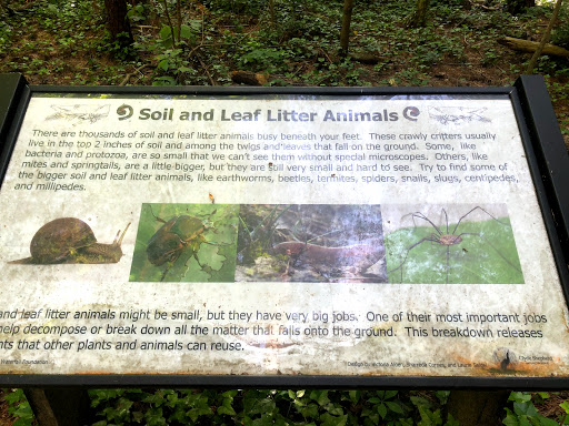 Nature Preserve «Clyde Shepherd Nature Preserve», reviews and photos, 2580 Pine Bluff Dr, Decatur, GA 30033, USA