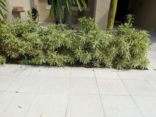 Country Club «Country Club of Miami», reviews and photos, 6801 NW 186th St, Hialeah, FL 33015, USA