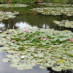 Photo n° 18 de l'avis de Mathéo.a fait le 07/07/2023 à 10:30 pour Maison de Claude Monet à Giverny