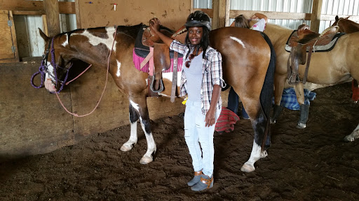 Horse riding lessons Minneapolis
