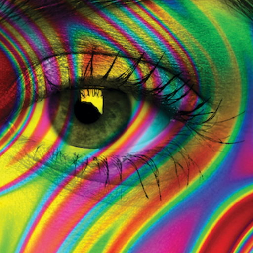 Optician «Spectacles for Humans», reviews and photos, 3862 24th St, San Francisco, CA 94114, USA