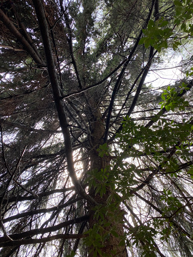 Nature Preserve «Eidolon Nature Preserve», reviews and photos, 2146 Orleans Rd, Great Cacapon, WV 25422, USA