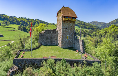 Burg Iberg
