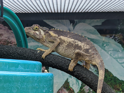 Pet Supply Store «Petco Animal Supplies», reviews and photos, 4915 E 41st St C, Tulsa, OK 74135, USA