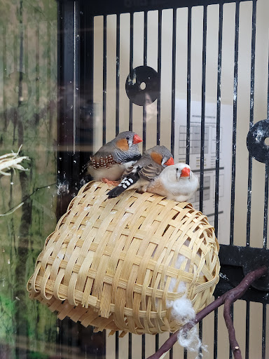 Pet Supply Store «PetSmart», reviews and photos, 1945 Pavilion Way, Lexington, KY 40509, USA