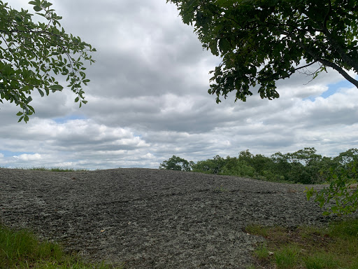 Nature Preserve «Macricostas Preserve», reviews and photos, 121 Christian St, New Preston, CT 06777, USA