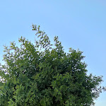 Photo n°1 de l'avis de Monica.a fait le 20/08/2023 à 16:48 sur le  Masseria Sacramento à Palagianello