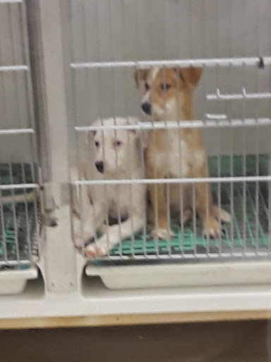 Tropical Fish Store «Animal House Pet Shop», reviews and photos, 358 Warner Milne Rd #110, Oregon City, OR 97045, USA