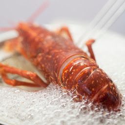 Photo n°20 de La Cuisine Corsaire Ecole à Cancale ()