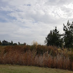 Photo n°5 de l'avis de Miguel.r fait le 27/11/2017 à 23:17 sur le  Colina Verde Sports Resort à Moncarapacho