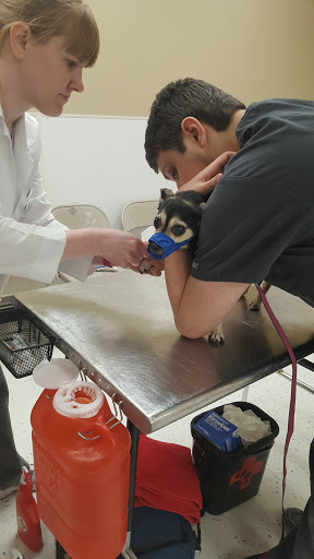 Pet Supply Store «Petco Animal Supplies», reviews and photos, 92 Cluff Crossing Rd, Salem, NH 03079, USA