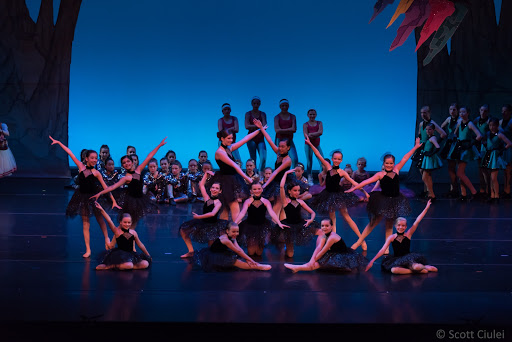 Columbus DanceArts Academy