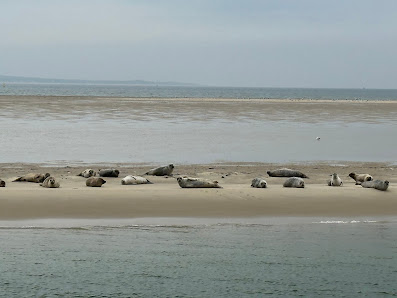 Tersailing - De Toekomst Willem Barentszkade 1, 5C, 8881 BC West-Terschelling, Nederland