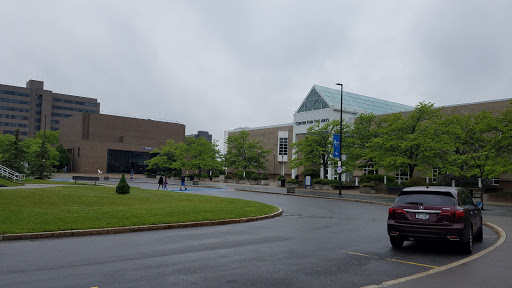 Stadium «UB Stadium», reviews and photos, 102 Alumni Arena, Buffalo, NY 14260, USA