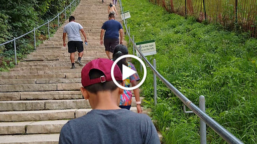 Nature Preserve «Swallow Cliff Woods South», reviews and photos, Illinois Rt 83 & US Rt 45, Palos Park, IL 60464, USA