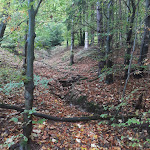 Photo n°3 de l'avis de Alexander.� fait le 07/10/2018 à 19:23 sur le  Ausflugsgaststätte Waldfrieden à Steinach