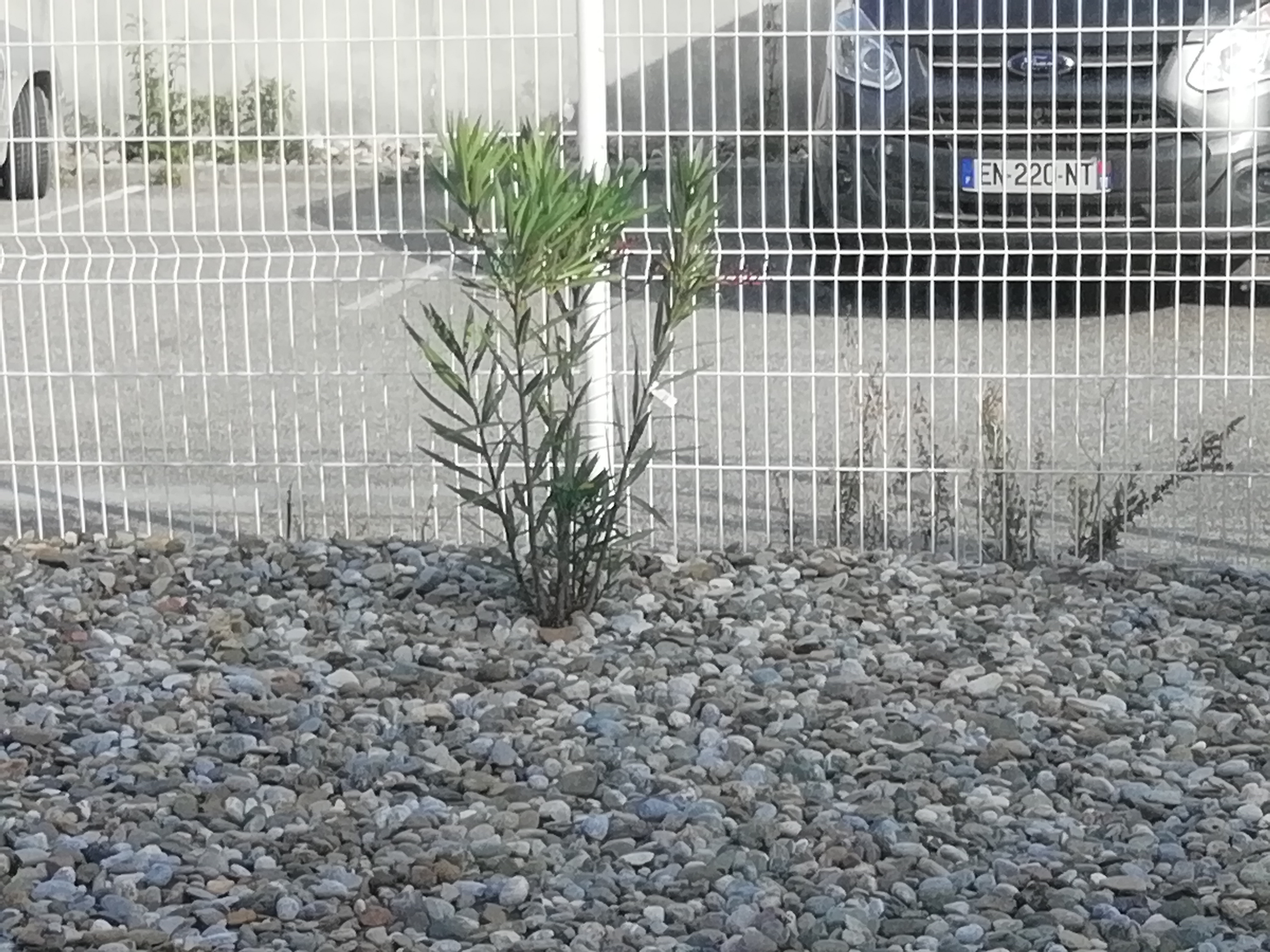 Photo n° 7 de l'avis de Carole.a fait le 15/10/2018 à 00:28