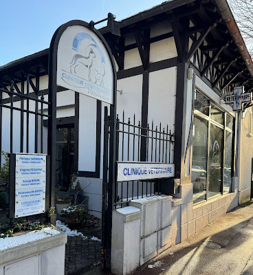 Clinique Vétérinaire des Arcades à Chatou